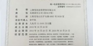 上海公司注册官网,上海公司注册核名查询怎么查