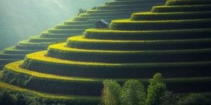 最新批准的个人企业主政策！综合税率低至1％