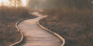 “开始企业家旅程！为0元注册一家公司，您准备好了吗？