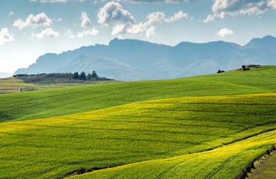 老年退休人员如何正确地获得其他补贴？您知道这个申请过程吗？