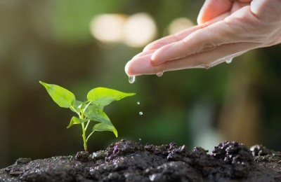 广东中级会计考试延期考试的结果已宣布！重新检查结果