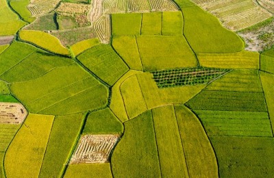 个人业务许可注册过程，最新的2021年