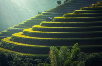 最新批准的个人企业主政策！综合税率低至1％