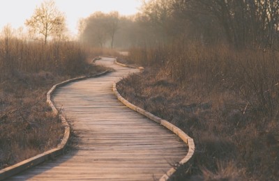 个人税分解1：了解如何计算累计工资的个人所得税。如果您详细查看它，您会发现更多。